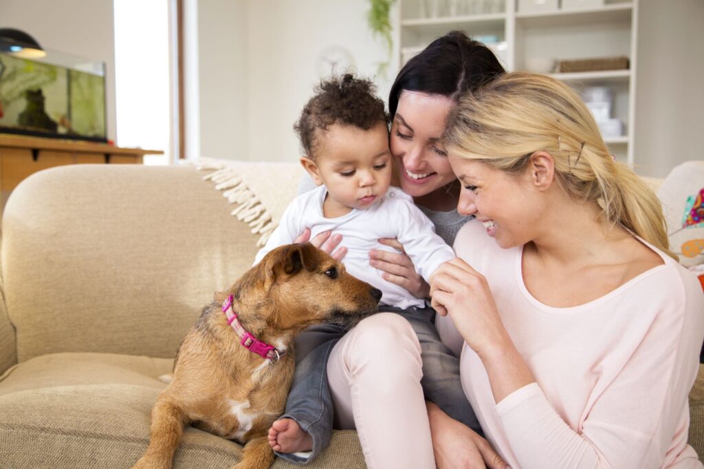 Parents, their toddler and dog sit on the couch