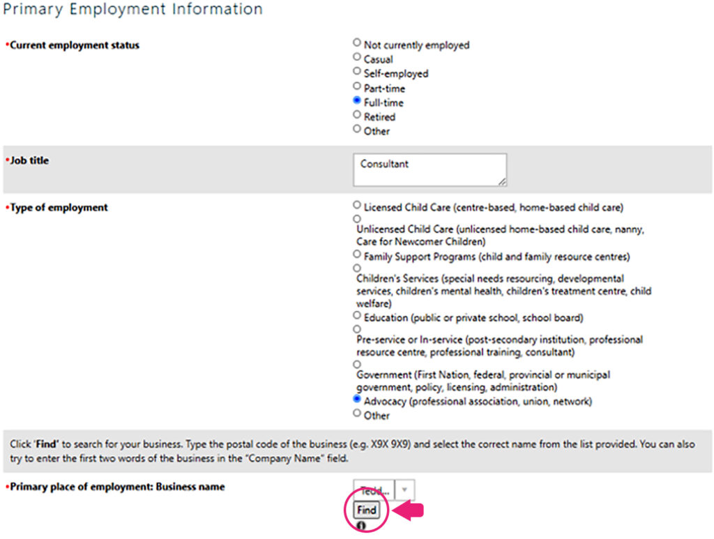 Screenshot of the section Primary Employment Information Section of the form